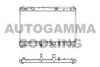 AUTOGAMMA 105702 Radiator, engine cooling